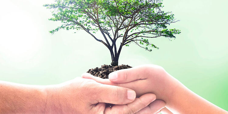 Wat is impact beleggen?