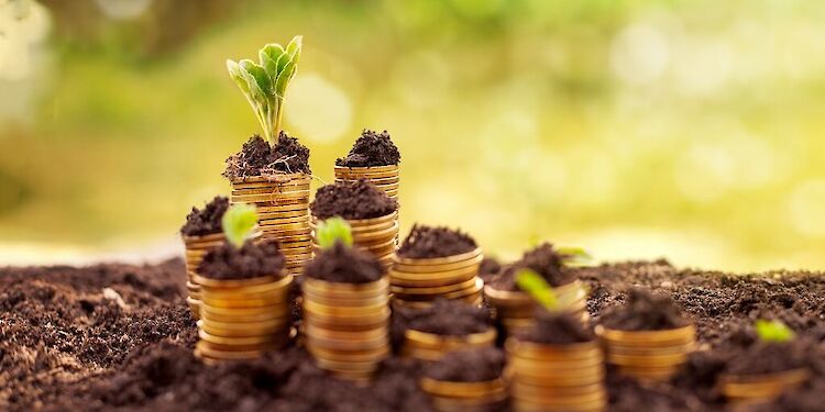 Wat is groen beleggen?