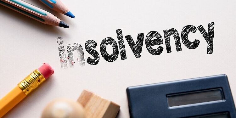 Wat is de solvabiliteitsratio?