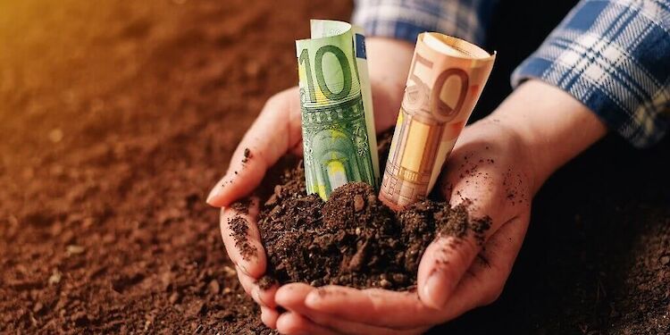 Wat betekent yield to maturity (YTM)?