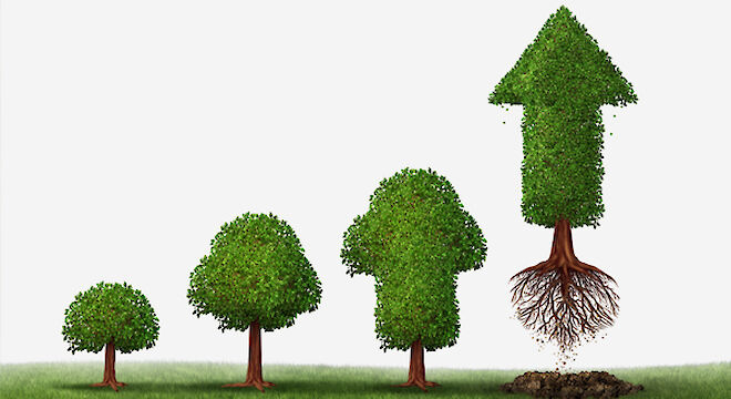 Beginnen met beleggen: Stappenplan en Tips