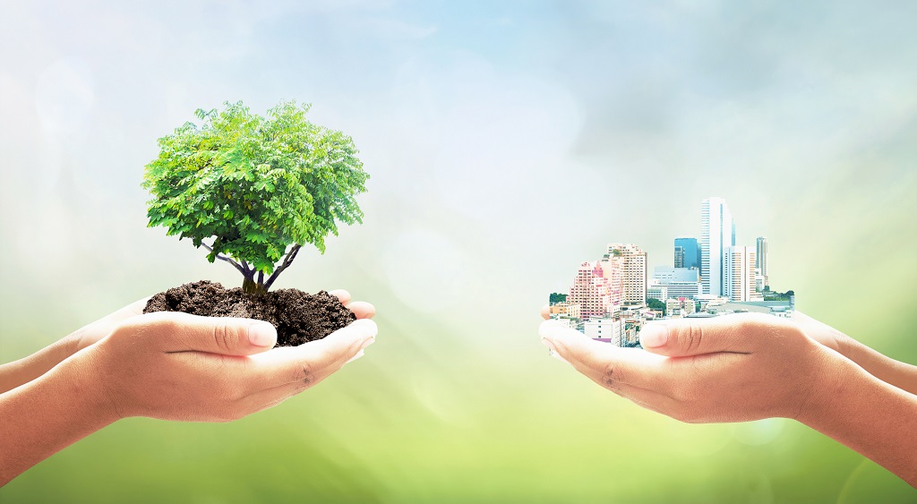 Wat zijn Sustainable Development Goals en hoe kun je er als belegger aan bijdragen?