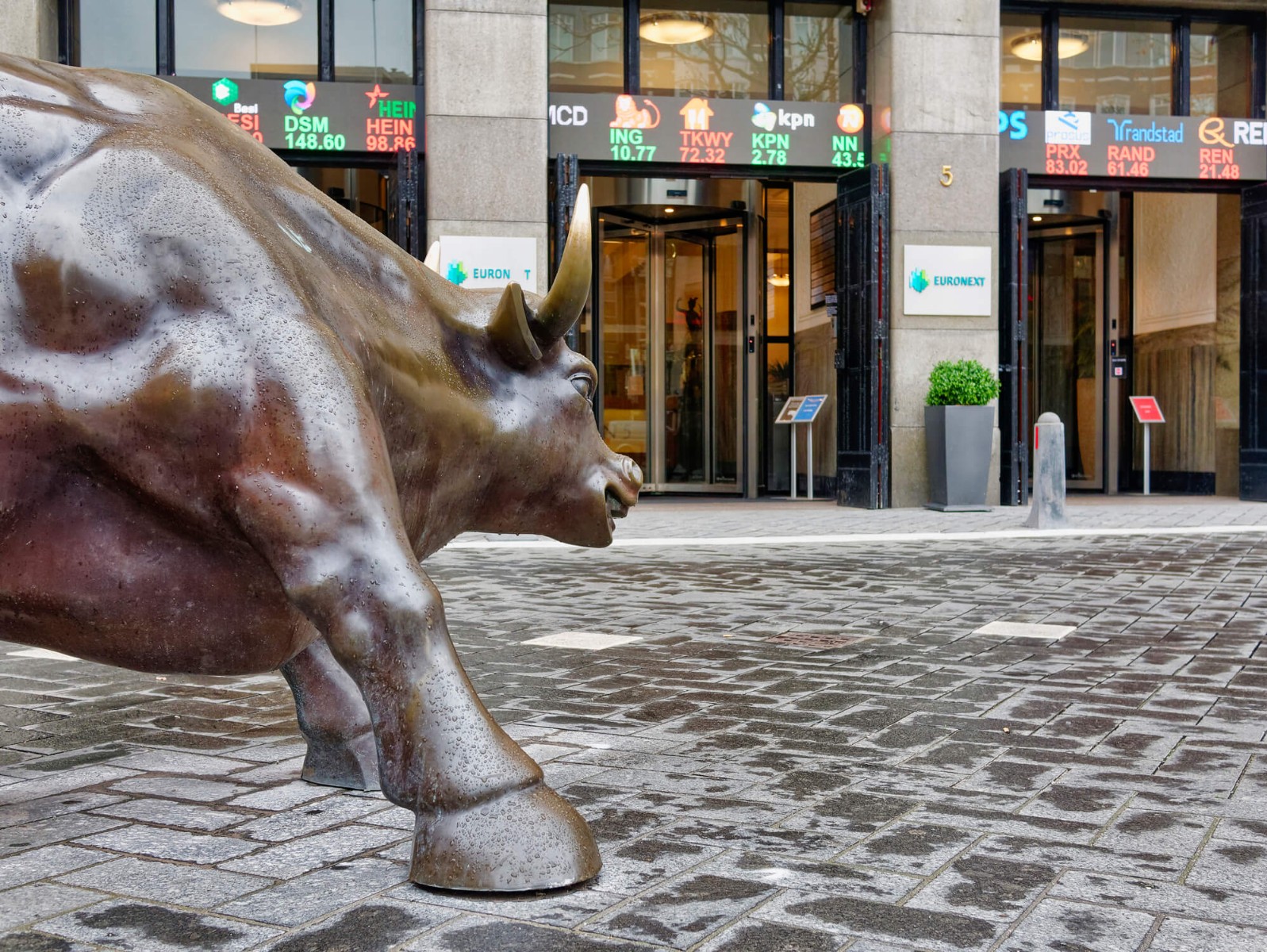 Ingang Beursplein 5 met stier aan voorgrond.